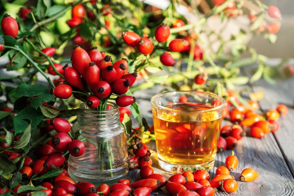 Jak správně připravit šípkový čaj? Většina lidí dělá tuto zásadní chybu